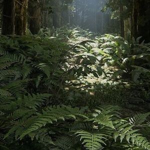 Meet your Posher, Meauri